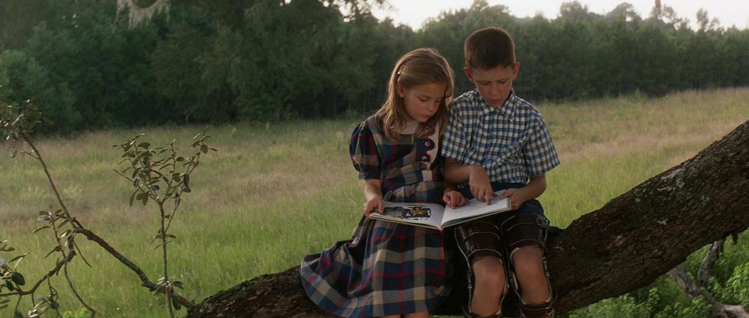 Le Roi et l'Oiseau - Forrest Gump